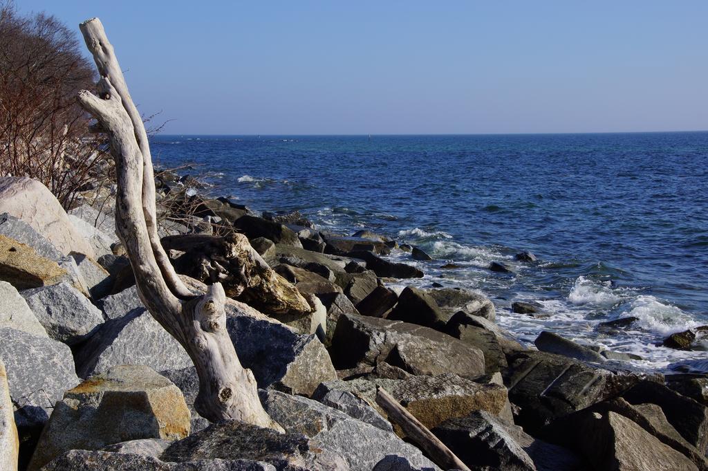 Urlaub Auf Der Insel Ruegen Daire Bergen Auf Rugen Dış mekan fotoğraf